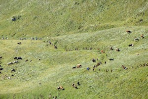 LATEMAR VERTICAL KM 2016 (PH ELVIS) 28901